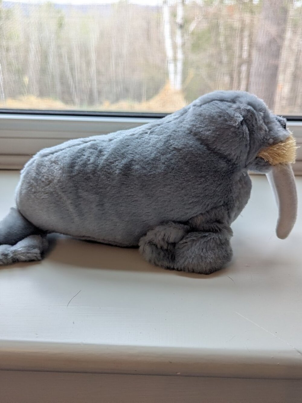 Webkinz - Walrus - no code - Picture 2 of 3